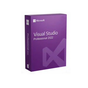 Visual Studio Professional 2022